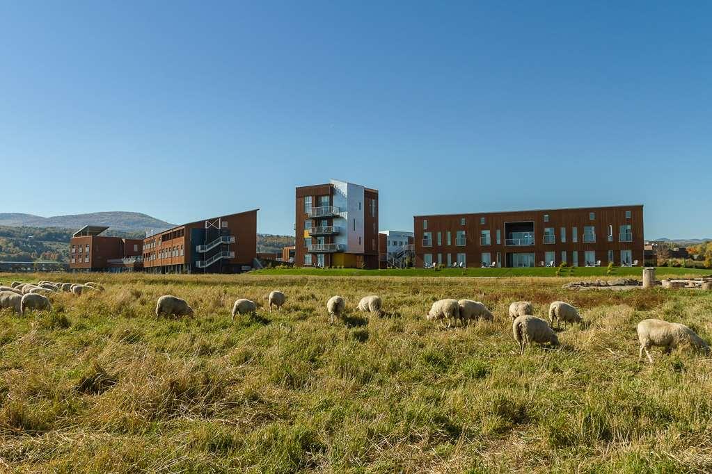 Hotel & Spa Le Germain Charlevoix بيه سان بول المظهر الخارجي الصورة
